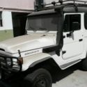 Toyota Bandeirantes 1987