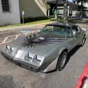 trans am for sale, ORIGINAL SURVIVOR.