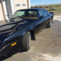 Trans Am Turbo 1980 SE