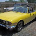 Triumph Stag(s)