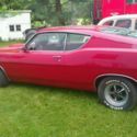 True fastback