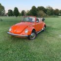 TRUE SURVIVOR SUPER FUN CONVERTIBLE BEETLE RARE AUTOSTICK AUTOMATIC TRANSMISSION