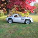 TVR GRIFFITH 1965 SERIES 200 289 HP FORD SHELBY COBRA BOSS 302 MUSTANG