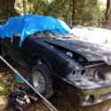 Two Mustang Convertibles one with title and one for parts 1988,1993 both 2,500.