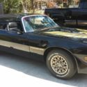 Uptown Ruler- 1979 Pontiac Trans Am w/6.6 Litre V8