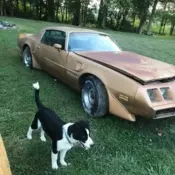 Very Rare 1981 Turbo Trans Am Was One Owner When Found