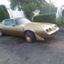 vintage cars 81 Trans Am
