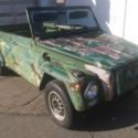 VW THING painted by artist