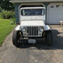 VW  Veep  Willys  Kit Car  Dune Buggy ?