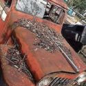 Wagon with no engine or transmission