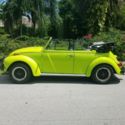 Well kept freshly restored PREMIUM exterior, fine tuned engine & new EVERYTHING!