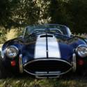 West Coast Cobra