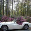 White Triumph TR3A 1960 Great Condition