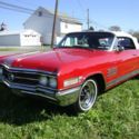 WILDCAT CONVERTIBLE  GREAT COLOR COMBO