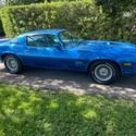 Z28 survivor