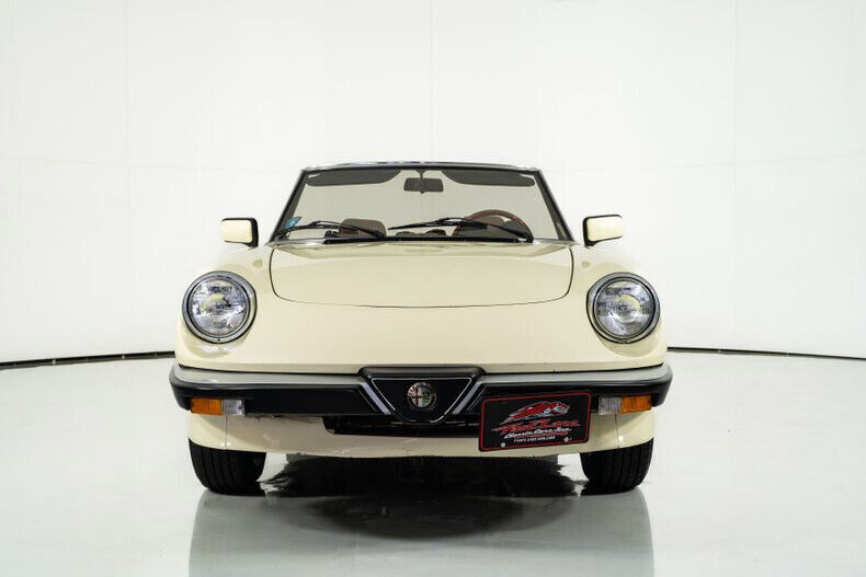 1984 Alfa Romeo Spider Veloce - photo 4