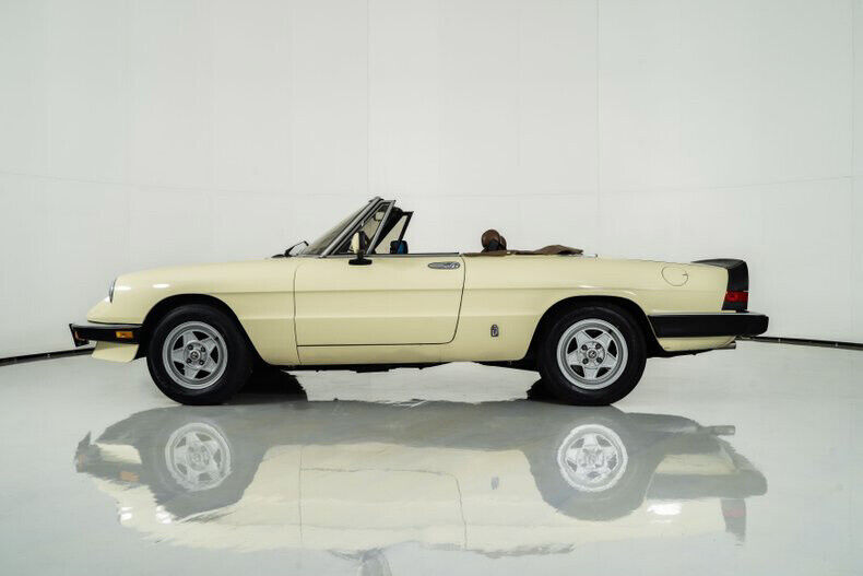 1984 Alfa Romeo Spider Veloce - photo 6