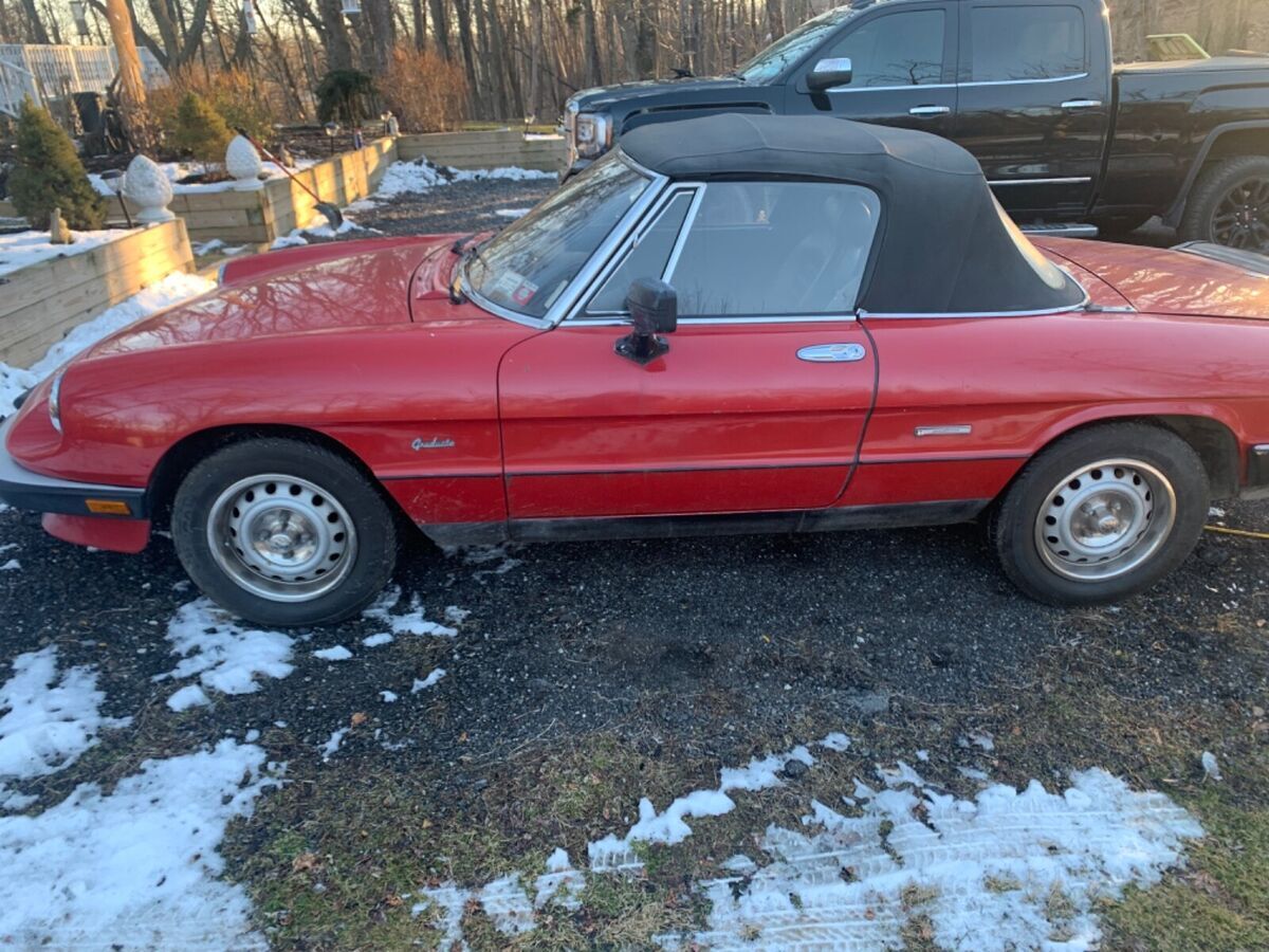1986 Alfa Romeo Spider Graduate - photo 12