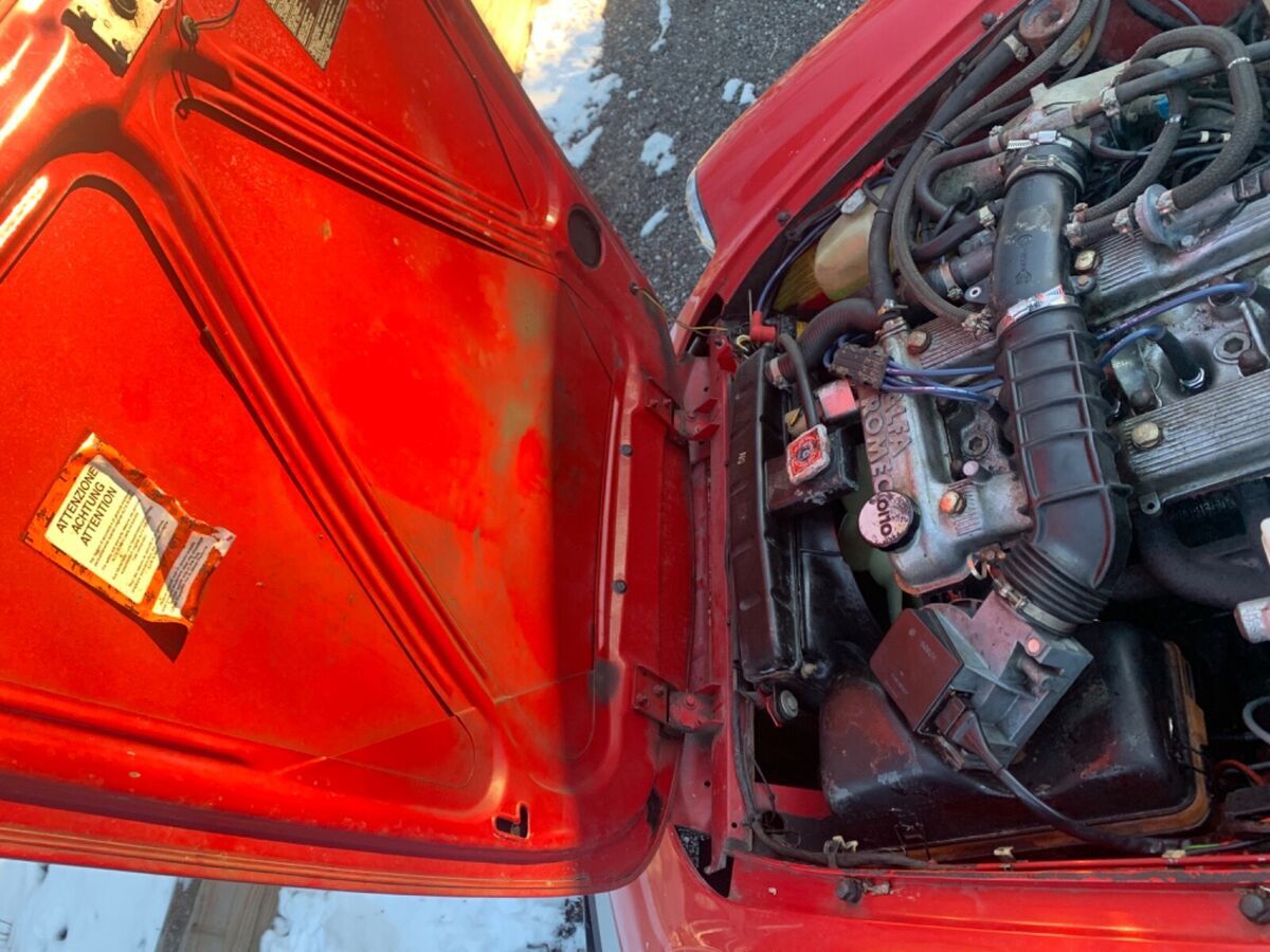 1986 Alfa Romeo Spider Graduate - photo 13