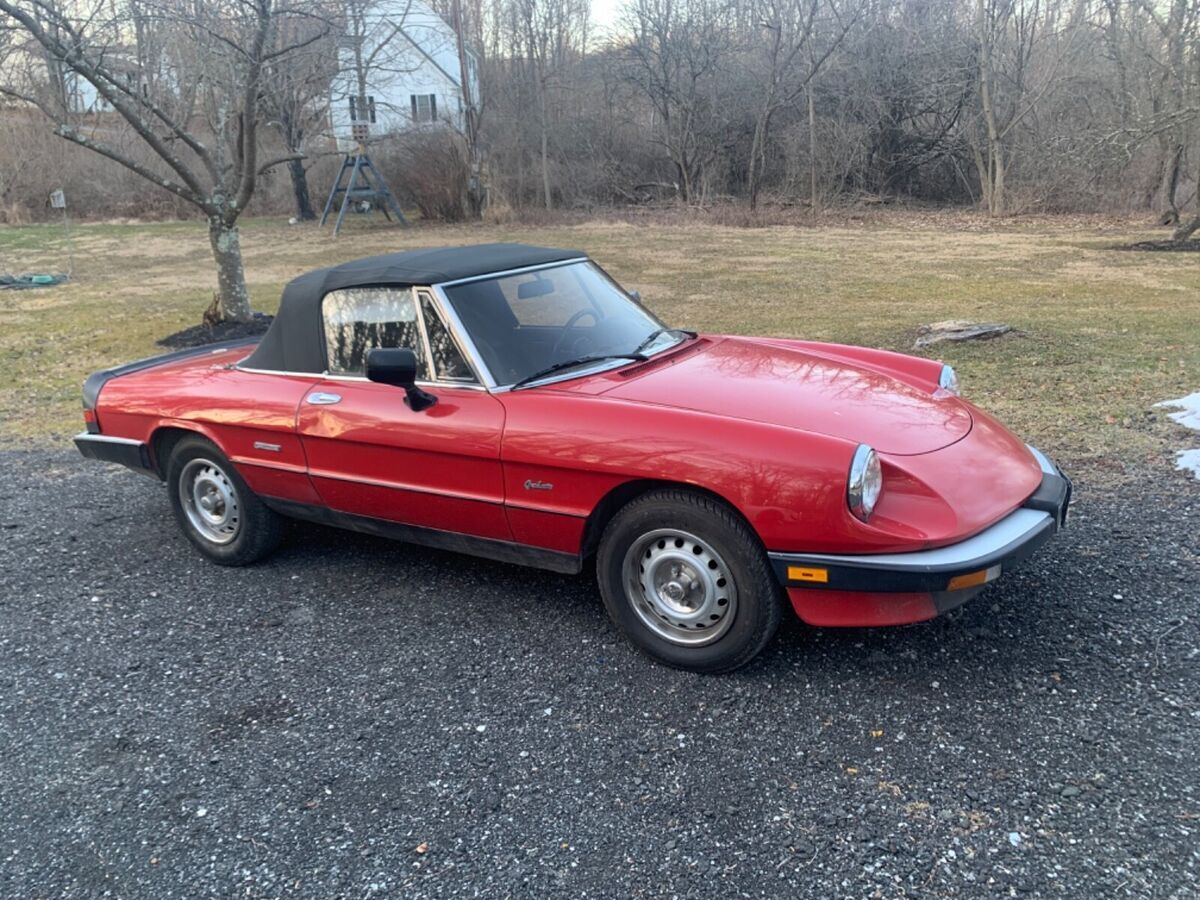 1986 Alfa Romeo Spider Graduate - photo 2