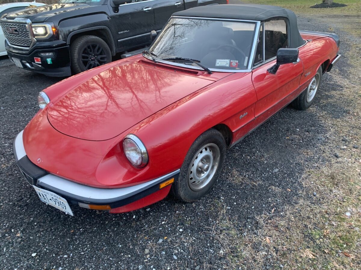 1986 Alfa Romeo Spider Graduate - photo 4