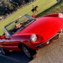 1982 Alfa Romeo Spider Convertible Red RWD Manual 2000 SPIDER