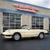 1984 Alfa Romeo Spider Veloce 2L I4 8V