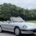 1986 Alfa Romeo Alfa Romeo Quadrifoglio
