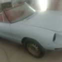 alfa romeo duetto spider