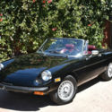 CALIFORNIACLASSIX 1978 Alfa Romeo Spider 2000 * Nero over Amaranto *