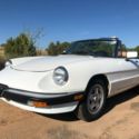 NO RESERVE - 1986 Alfa Romeo Spider Veloce